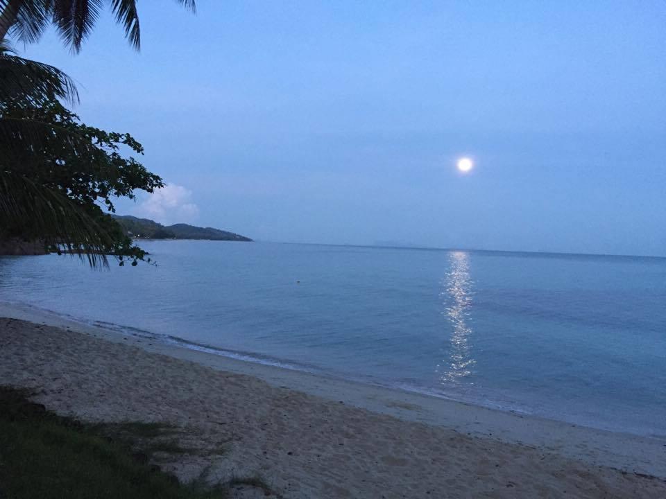 Hanalei Gardens شاطئ مينام المظهر الخارجي الصورة