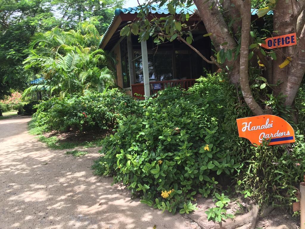 Hanalei Gardens شاطئ مينام المظهر الخارجي الصورة